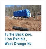 Turtle Zoo